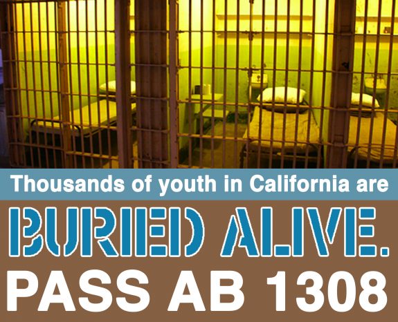 Please Send AB 1308 Letter of Support by Today – Fairer Sentencing for Youth Through Age 25